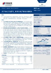 2018年中报点评：多产品处于高景气，新项目投产驱动业绩增长