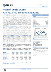 7月订单收入再加速，PTA涨价及汇兑收益锦上添花