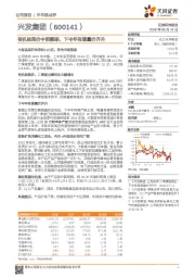 有机硅涨价中报靓丽，下半年有望量价齐升