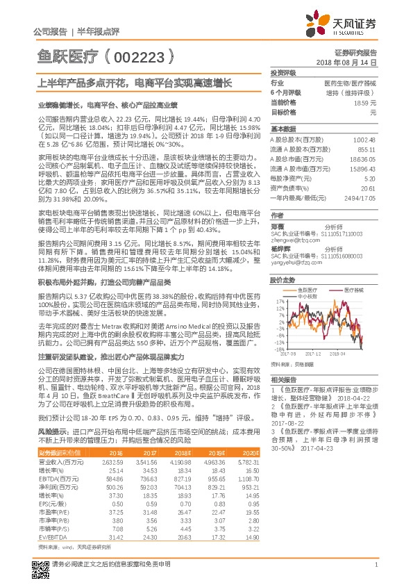 上半年产品多点开花，电商平台实现高速增长
