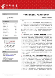 草铵膦价格短期承压，产能投放助力高增长