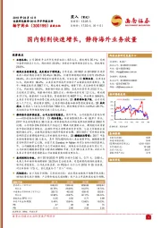 国内制剂快速增长,静待海外业务放量