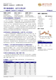 半年报点评:项目推进顺利,在手订单充沛