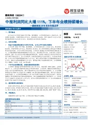 新纶科技2018年半年报点评：中报利润同比大增111%，下半年业绩持续增长