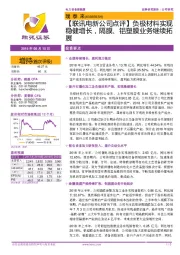 【联讯电新公司点评】负极材料实现稳健增长，隔膜、铝塑膜业务继续拓展