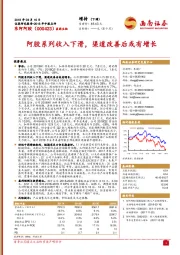 阿胶系列收入下滑，渠道改善后或有增长