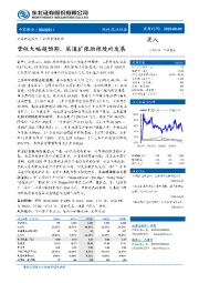 营收大幅超预期,渠道扩张助推境内发展