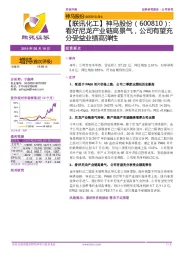 【联讯化工】神马股份:看好尼龙产业链高景气,公司有望充分受益业绩高弹性
