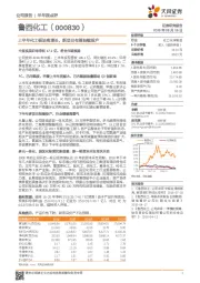 上半年化工板块高增长,新项目有望陆续投产