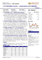 半年报点评：上半年净利润增长258.40%，自组网业务助力全年业绩高增长