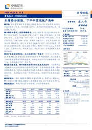 业绩符合预期,下半年望迎投产高峰