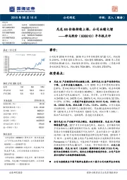 半年报点评：尼龙66价格持续上涨，公司业绩大增