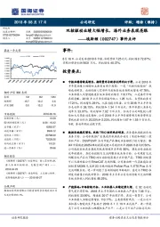 事件点评：双核驱动业绩大幅增长，海外业务表现亮眼