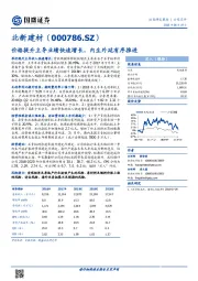 价格提升主导业绩快速增长，内生外延有序推进