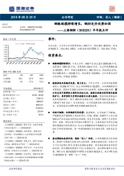 半年报点评：钢银规模持续增长，钢材定价优势加强