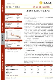 原材料价格上涨，Q2业绩承压