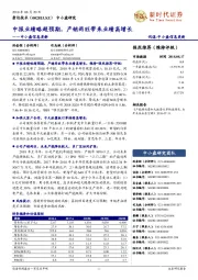 中小盘信息更新:中报业绩略超预期,产销两旺带来业绩高增长