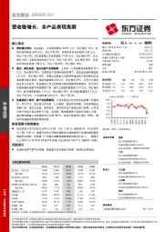 营收稳增长，多产品表现亮眼