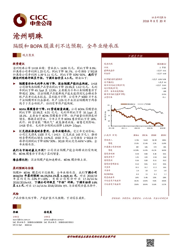 隔膜和BOPA膜盈利不达预期，全年业绩承压