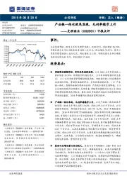 中报点评:产业链一体化效果显现,毛利率稳步上升