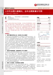 扬农化工中报点评：上半年业绩大幅增长，全年业绩高增长可期