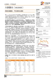 多板块高增长,平台型龙头显现