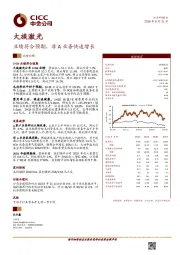业绩符合预期，非A业务快速增长