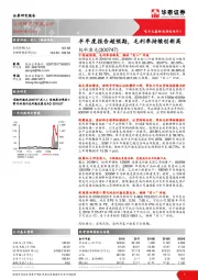 半年度报告超预期，毛利率持续创新高