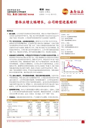 整体业绩大幅增长，公司转型进展顺利