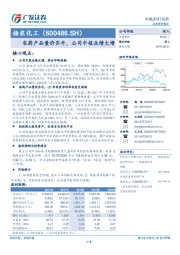 中报点评：农药产品量价齐升，公司中报业绩大增