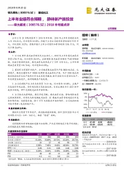 2018半年报点评:上半年业绩符合预期,静待新产能投