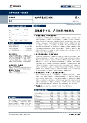 财报点评：渠道稳步下沉，产品结构持续优化