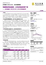 2018年中报点评：稳健推动电站建设，分布式电站空间广阔