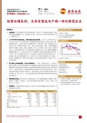经营业绩良好，未来有望成为产销一体化新型企业