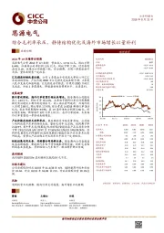 综合毛利率承压，静待结构优化及海外市场增长以量补利