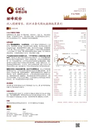 收入稳健增长，欧洲业务及股权激励拖累盈利