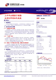 上半年业绩强于预期 全球化布局初见成效