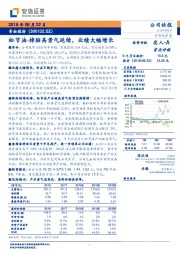 松节油-樟脑高景气延续,业绩大幅增长