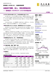 2018年半年报点评：业绩低于预期，收入、净利润两端承压