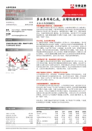 多业务布局已成,业绩快速增长