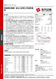 销售相对稳健 成本上涨和汇率拖累盈利