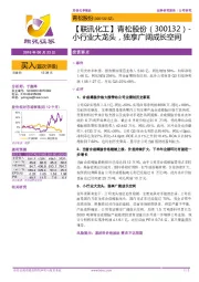 【联讯化工】青松股份-小行业大龙头,独享广阔成长空间