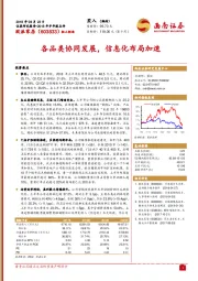 2018年半年报点评：各品类协同发展，信息化布局加速