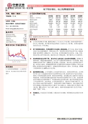 线下较好增长,线上短期增速放缓
