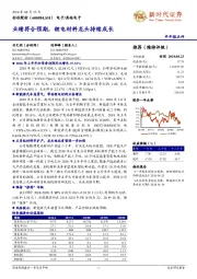 半年报点评：业绩符合预期，锂电材料龙头持续成长