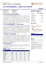 半年报点评：动力电池营收持续增长，全球发力未来业绩可期