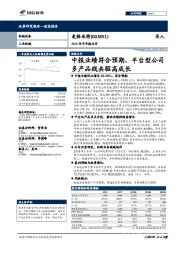 2018年半年报点评：中报业绩符合预期，平台型公司多产品线共驱高成长