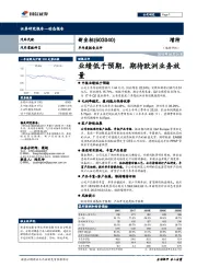 半年度报告点评：业绩低于预期，期待欧洲业务放量