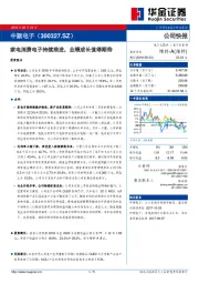 中报点评:家电消费电子持续推进 业绩成长值得期待