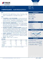 2018年中报点评：业绩维持高速增长，抗老化剂成长空间巨大